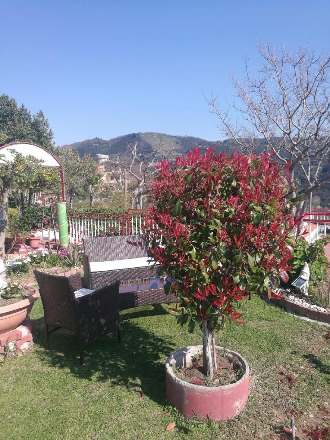 Casa Vacanze Villa Pellegrino 살레르노 외부 사진
